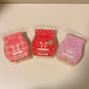 Scentsy Braeburn, Sugared Strawberry and Candy Dandy Wax Bar Melts